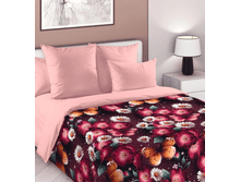 ����� (������� 220 ��).png