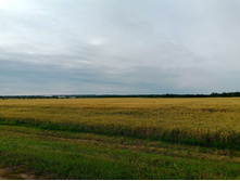 20250705 ������-400 ����������� 082028.jpg