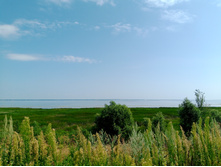 20250726 ������-600 ������� 135155.jpg