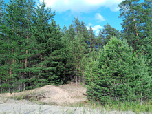 20250705 ������-400 ����������� 180625.jpg