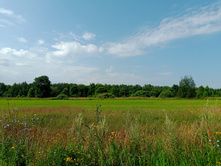 20250727 ������-600 ������� 103223.jpg