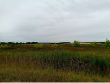 20250705 ������-400 ����������� 075749.jpg