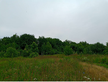 20250705 ������-400 ����������� 101609.jpg