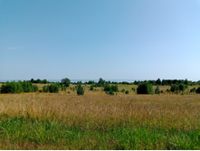 20250726 ������-600 ������� 134100.jpg