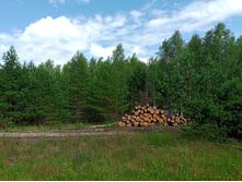 20250705 ������-400 ����������� 152636.jpg