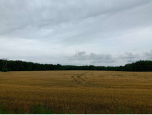 20250705 ������-400 ����������� 121441.jpg