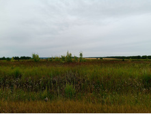 20250705 ������-400 ����������� 075744.jpg