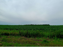 20250705 ������-400 ����������� 085007.jpg