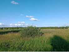 20250705 ������-400 ����������� 182843.jpg