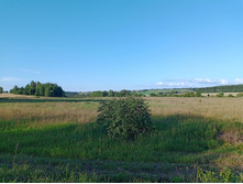 20250705 ������-400 ����������� 185238.jpg