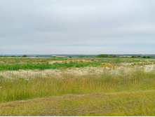 20250705 ������-400 ����������� 085741.jpg