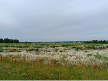 20250705 ������-400 ����������� 085718.jpg