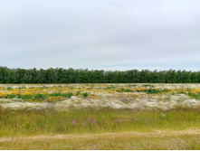 20250705 ������-400 ����������� 090029.jpg