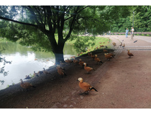 IMG 20250721 163931.jpg