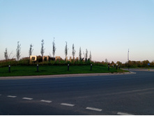 20250726 ������-600 ������� 200340.jpg