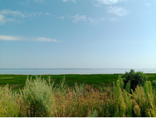 20250726 ������-600 ������� 135156.jpg