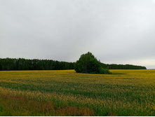 20250705 ������-400 ����������� 103638.jpg