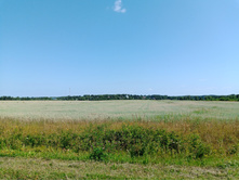 20250726 ������-600 ������� 114520.jpg