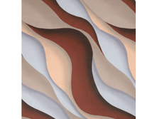 �������� �������(������� 220 ��)1.png