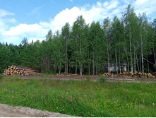 20250705 ������-400 ����������� 152630.jpg