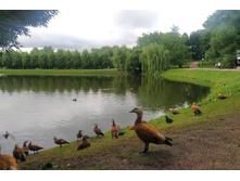 IMG 20250721 163954.jpg