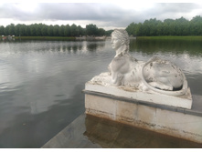 IMG 20250721 163755.jpg