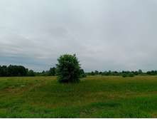 20250705 ������-400 ����������� 081933.jpg