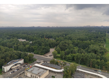 IMG 20250720 144620.jpg