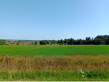 20250726 ������-600 ������� 114213.jpg