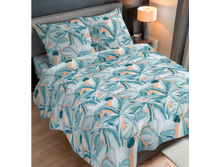 ������ (���� 220 ��).png