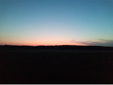 20250726 ������-600 ������� 213229.jpg