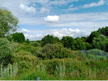 20250705 ������-400 ����������� 152505.jpg