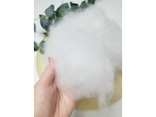 ������ ���.360 ��� �� ��