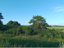 20250705 ������-400 ����������� 191310.jpg