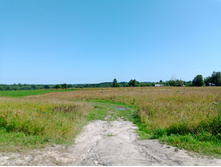 20250726 ������-600 ������� 114814.jpg