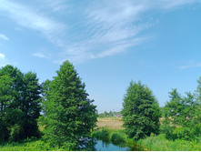 20250727 ������-600 ������� 102158.jpg