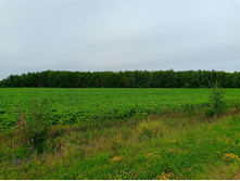 20250705 ������-400 ����������� 084228.jpg