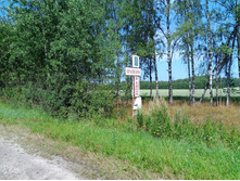 20250726 ������-600 ������� 130325.jpg