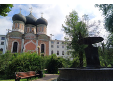 IMG 20250722 131821.jpg