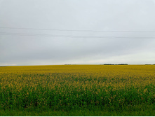 20250705 ������-400 ����������� 102928.jpg