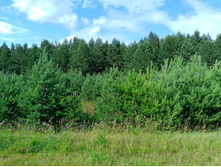 20250705 ������-400 ����������� 151833.jpg