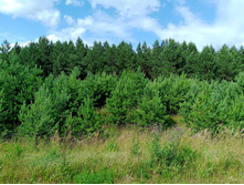 20250705 ������-400 ����������� 151840.jpg