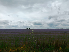 20250705 ������-400 ����������� 142310.jpg