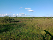 20250705 ������-400 ����������� 182842.jpg