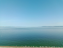 20250726 ������-600 ������� 090227.jpg