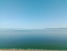 20250726 ������-600 ������� 090226.jpg