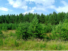 20250705 ������-400 ����������� 151834.jpg