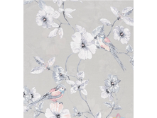 ������� (������� 220 ��)1.png