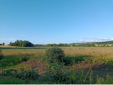 20250705 ������-400 ����������� 185237.jpg