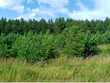 20250705 ������-400 ����������� 151839.jpg